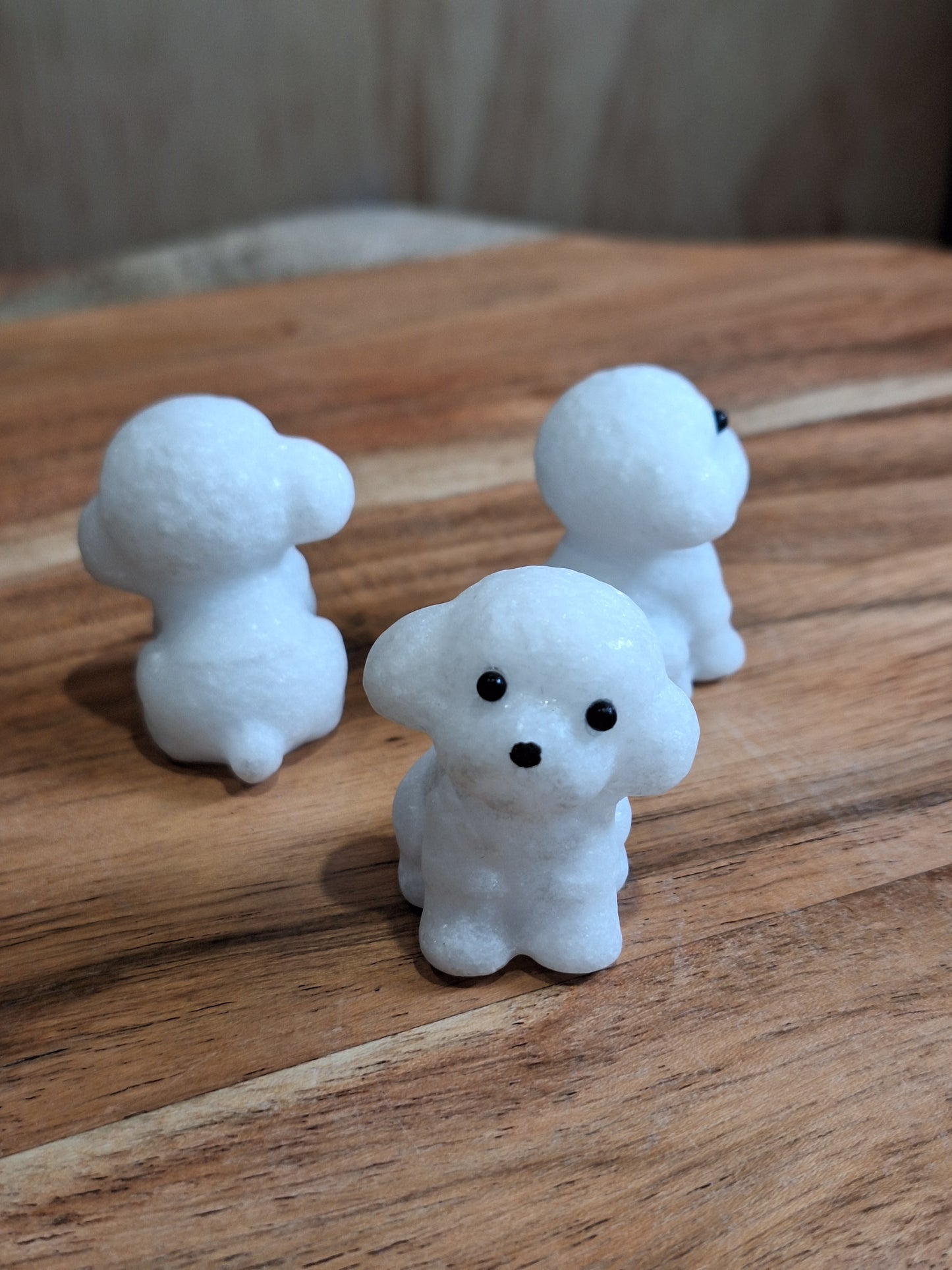 WHITE JADE POODLES