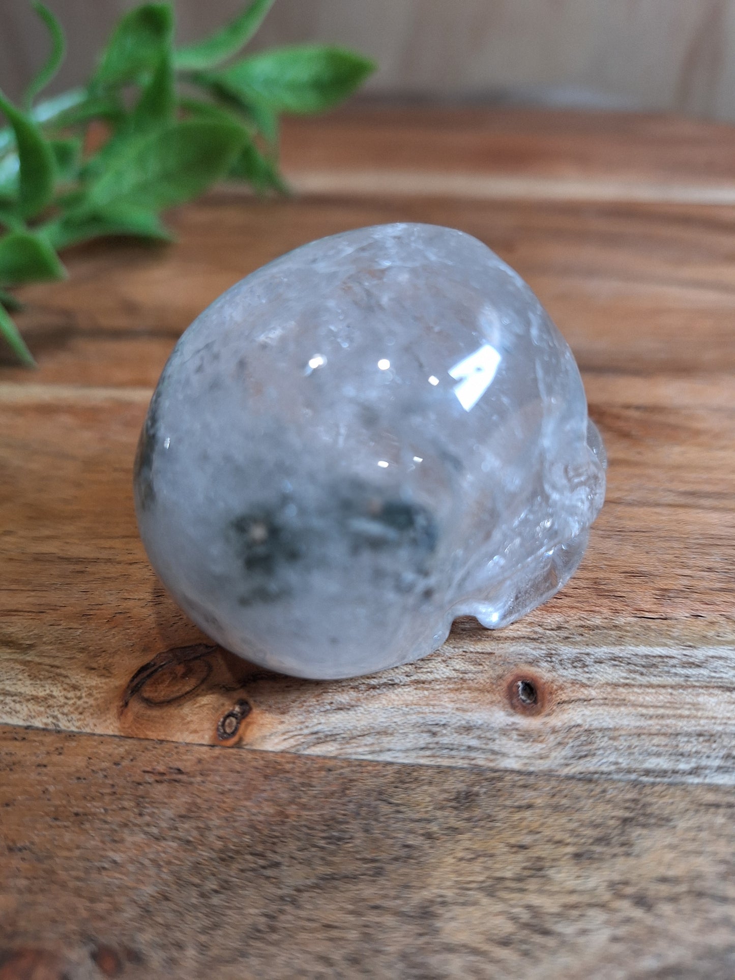 CLEAR QUARTZ SKULL WITH A SMALL GARDEN