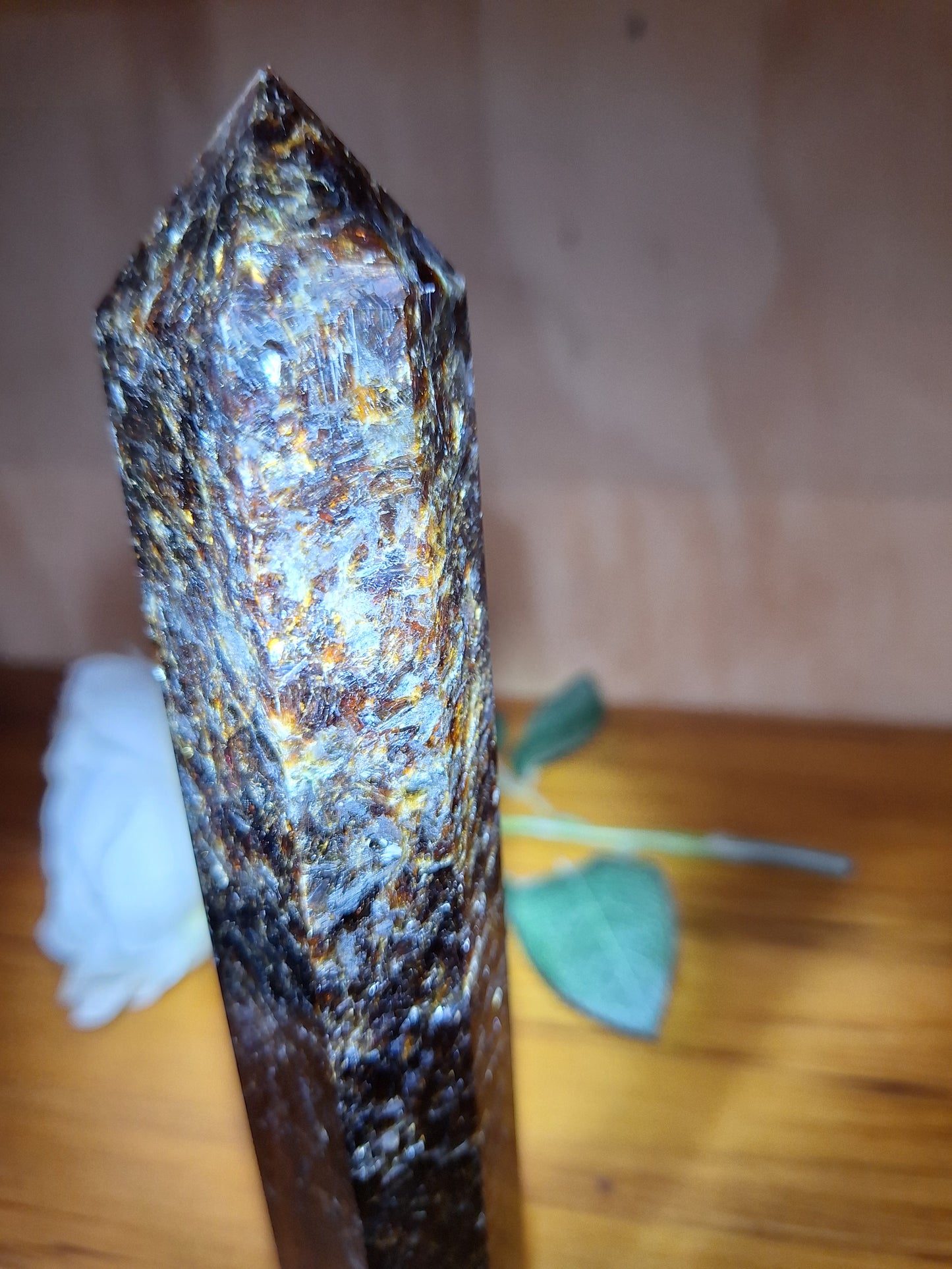 ASTROPHYLITE WITH AMBER