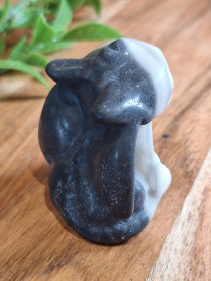 PICASSO JASPER TOOTHLESS