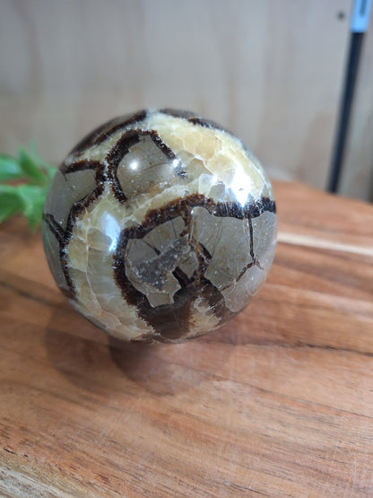 SEPTARIAN SPHERES