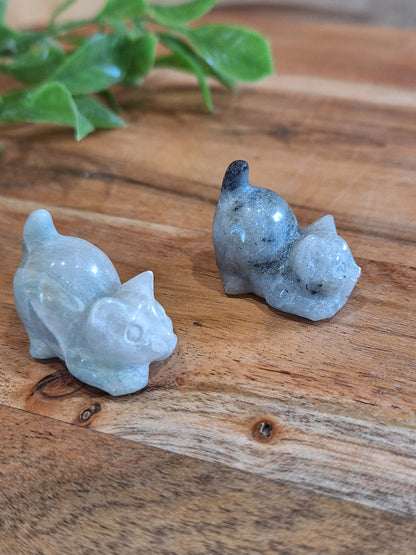 POUNCING CATS