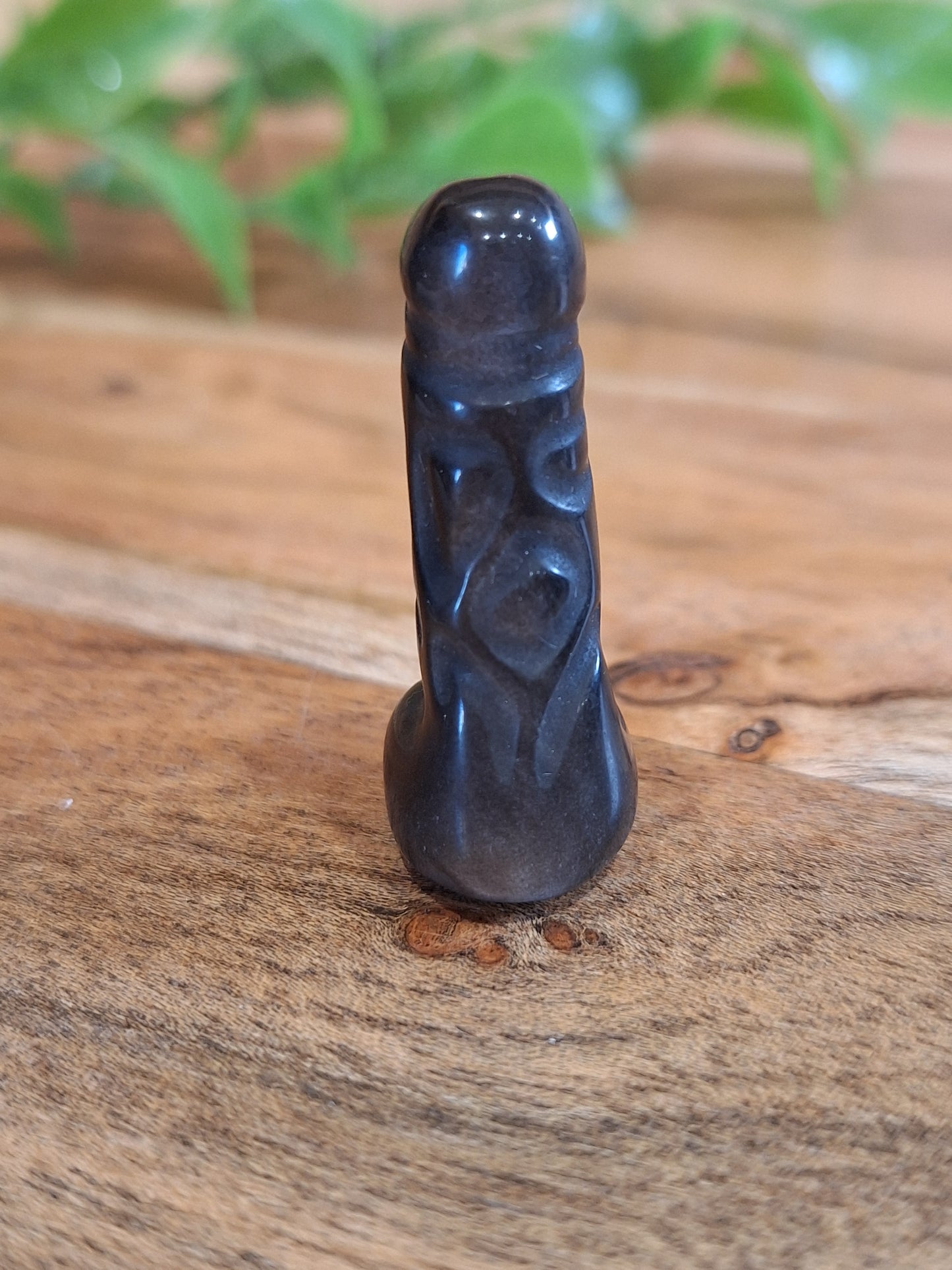 DING DINGS (ADULTS ONLY- MALE PRIVATE PARTS AHEAD)