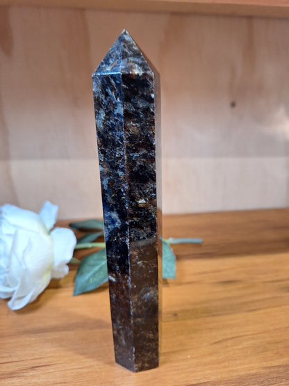 ASTROPHYLITE WITH AMBER