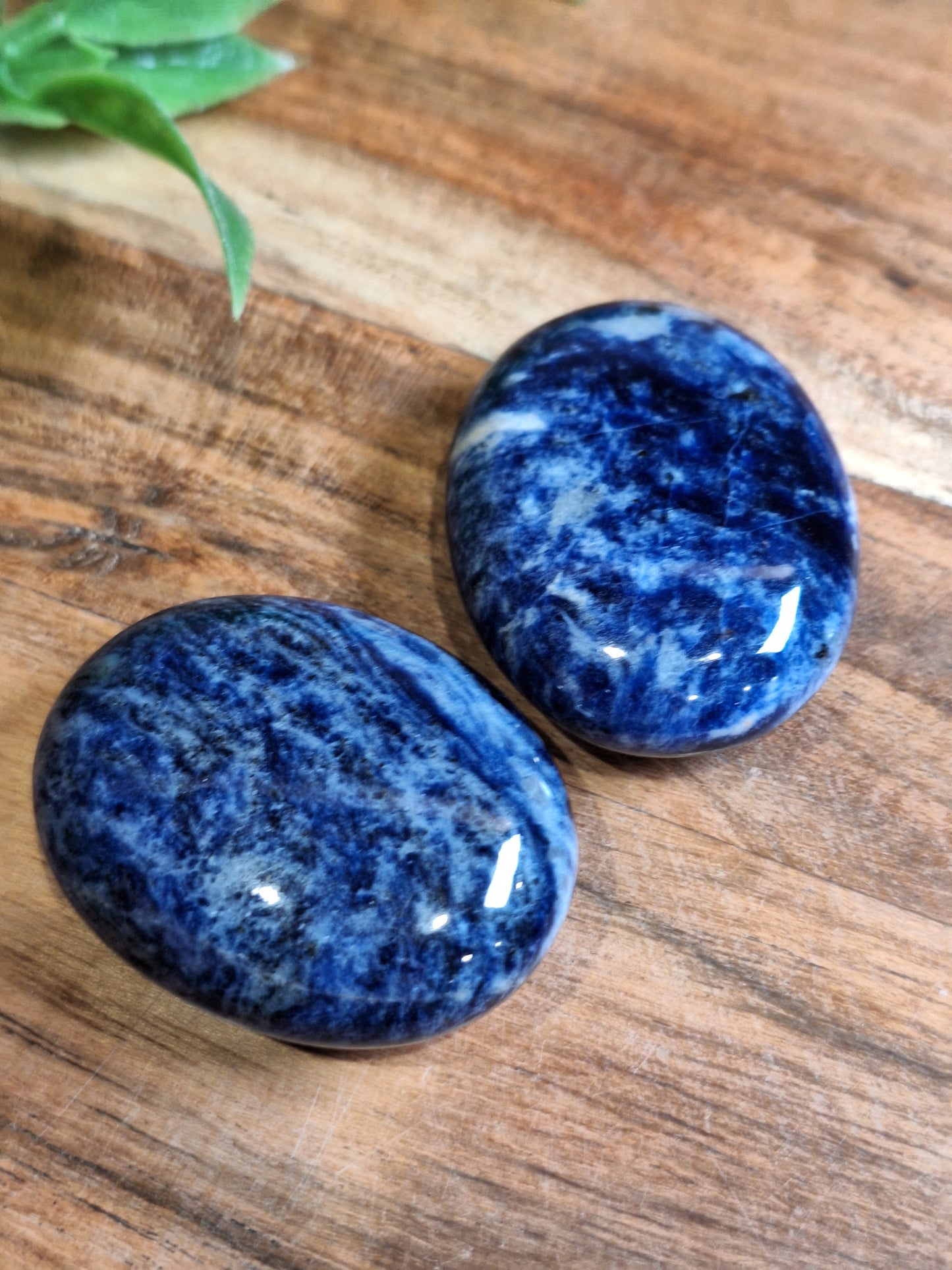 PALM STONES (SMALL)