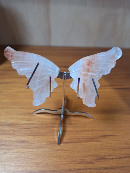 GORGEOUS BUTTERFLY WINGS ON A STAND (SMALL)