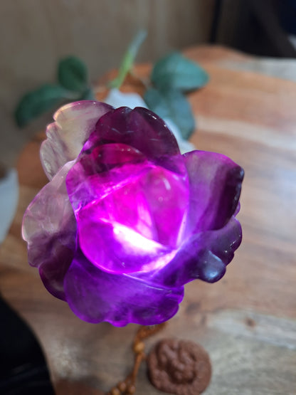 PURPLE FLUORITE ROSES