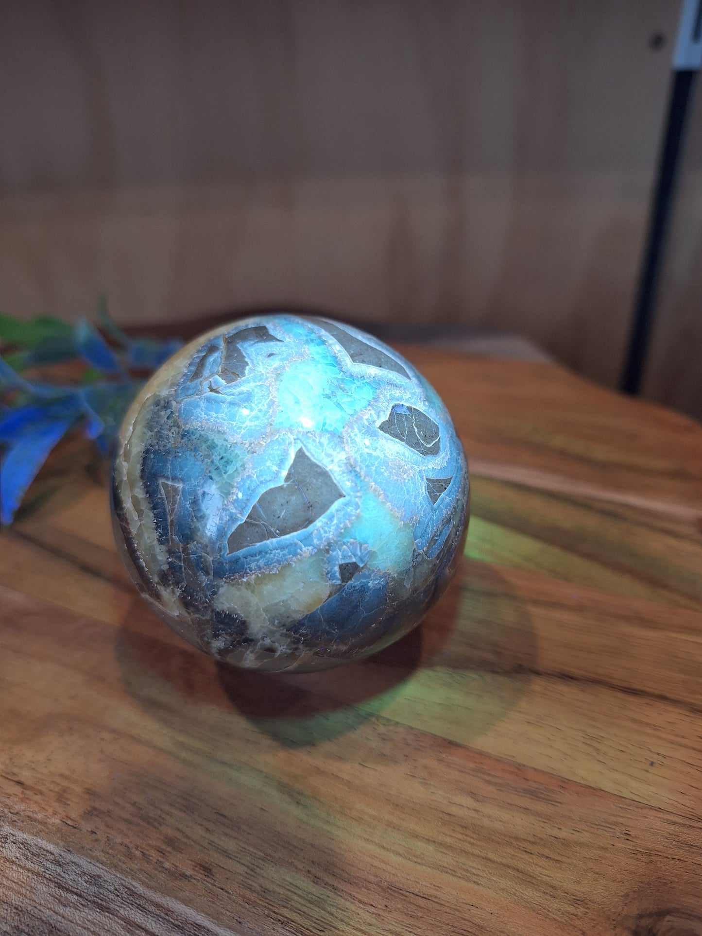 SEPTARIAN SPHERES