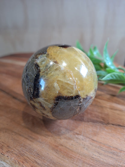 SEPTARIAN SPHERES