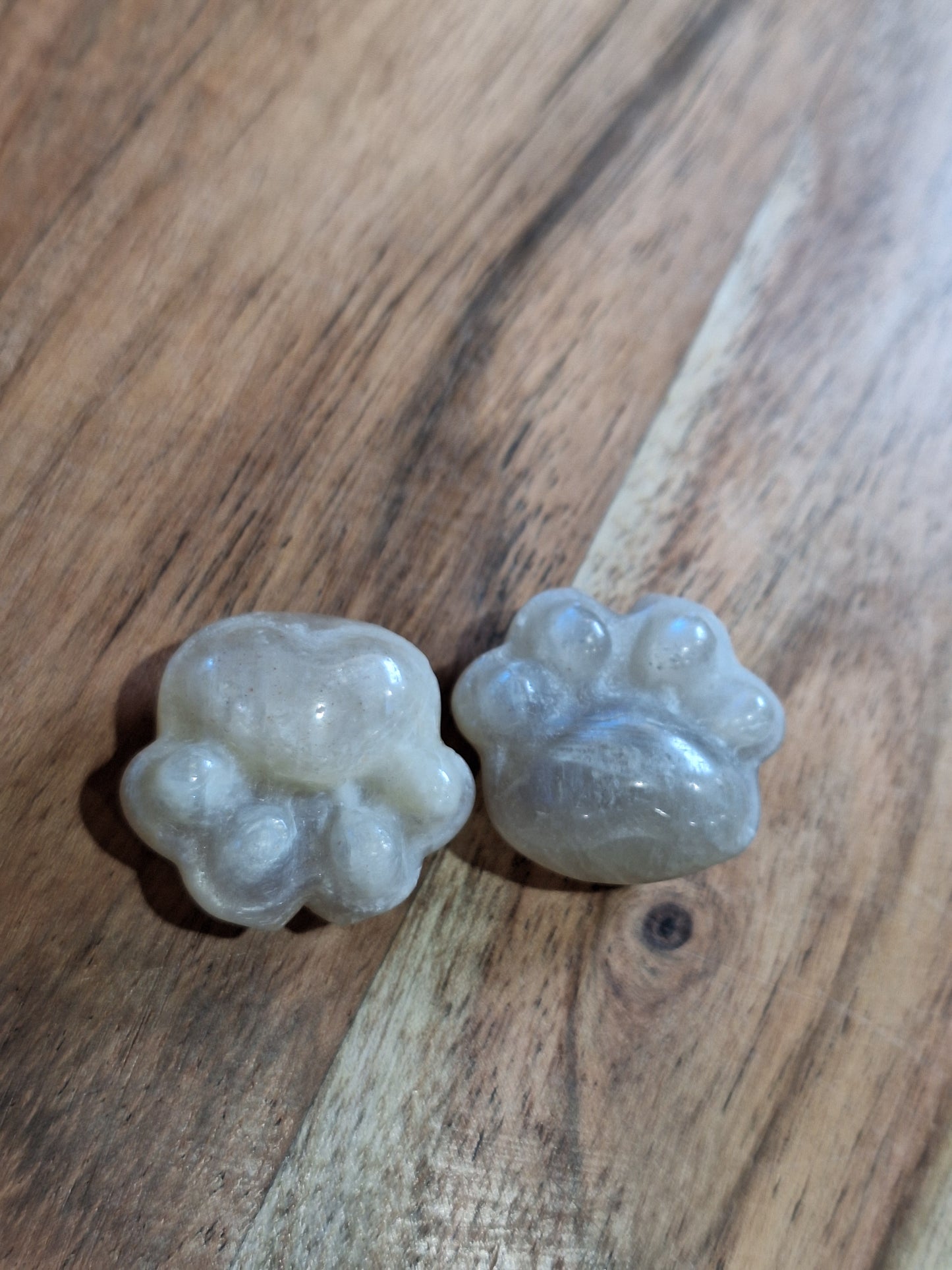 CRYSTAL DOG PAWS (SMALL-MEDIUM-LARGE)