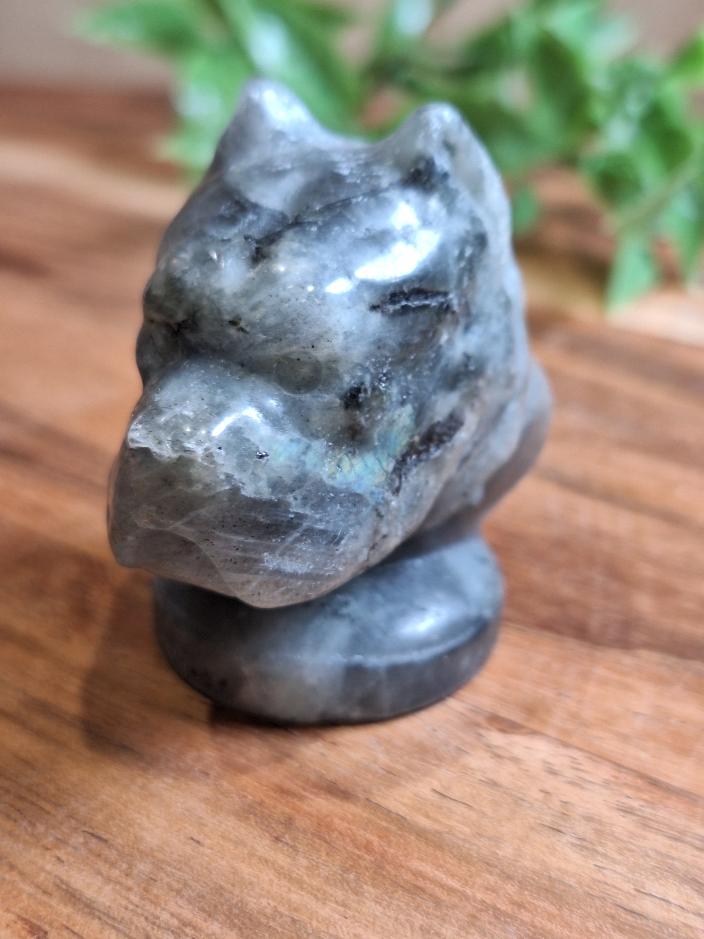 CRYSTAL DOG HEADS