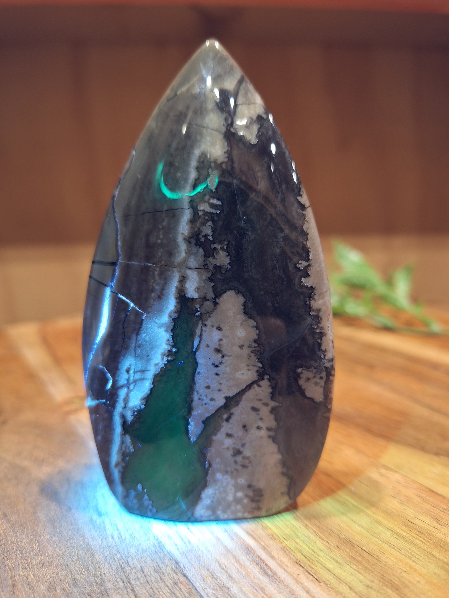 VOLCANO AGATE FREEFORMS