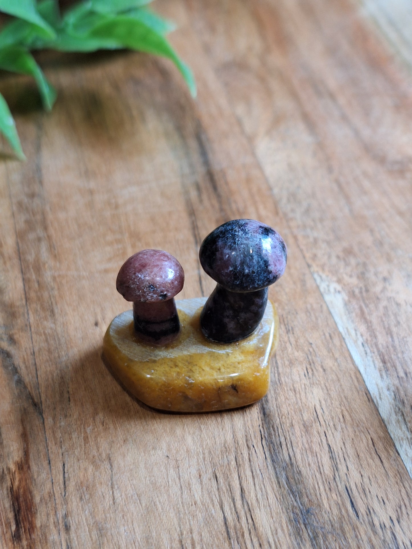 DOUBLE MUSHROOMS (SMALL)
