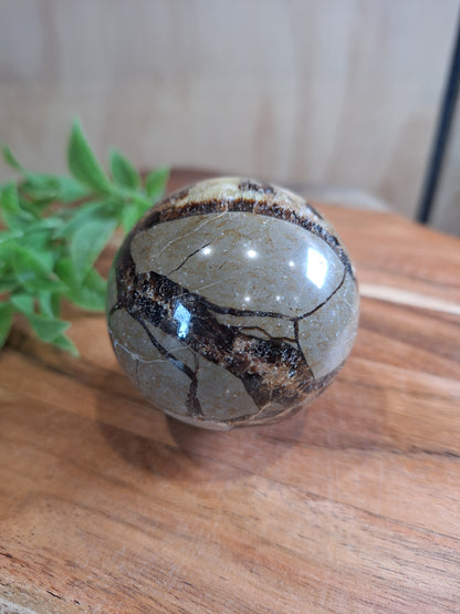 SEPTARIAN SPHERES
