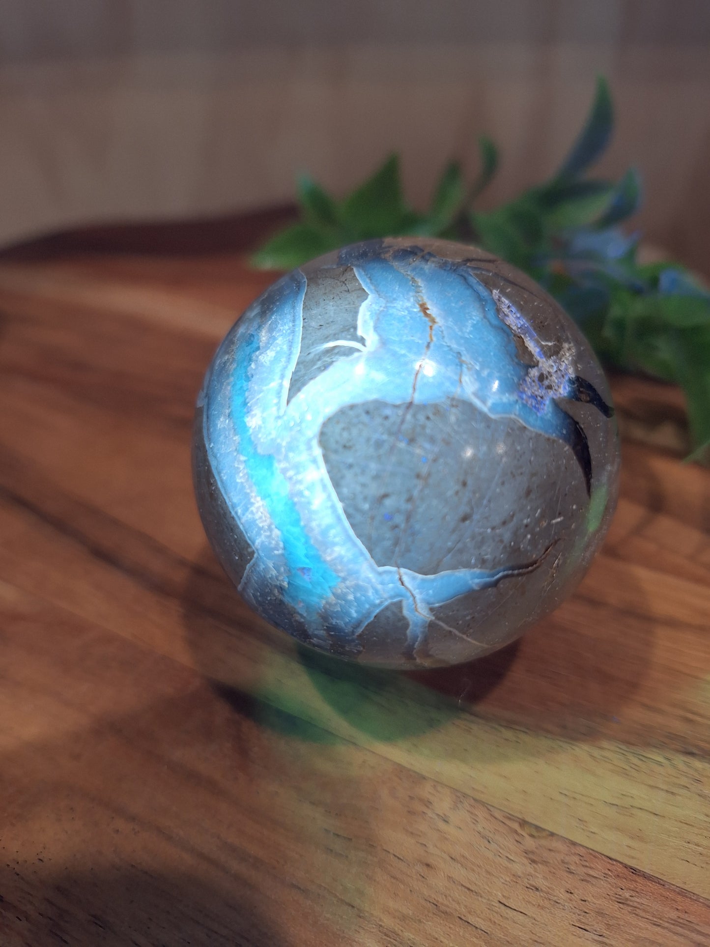 SEPTARIAN SPHERES
