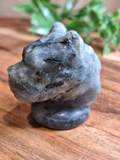 CRYSTAL DOG HEADS