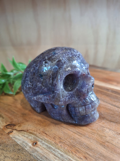 UNICORN SKULL WHOPPING 692grams (LARGE)
