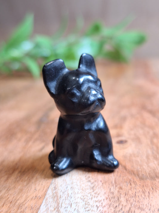 BLACK OBSIDIAN FRENCH DOG