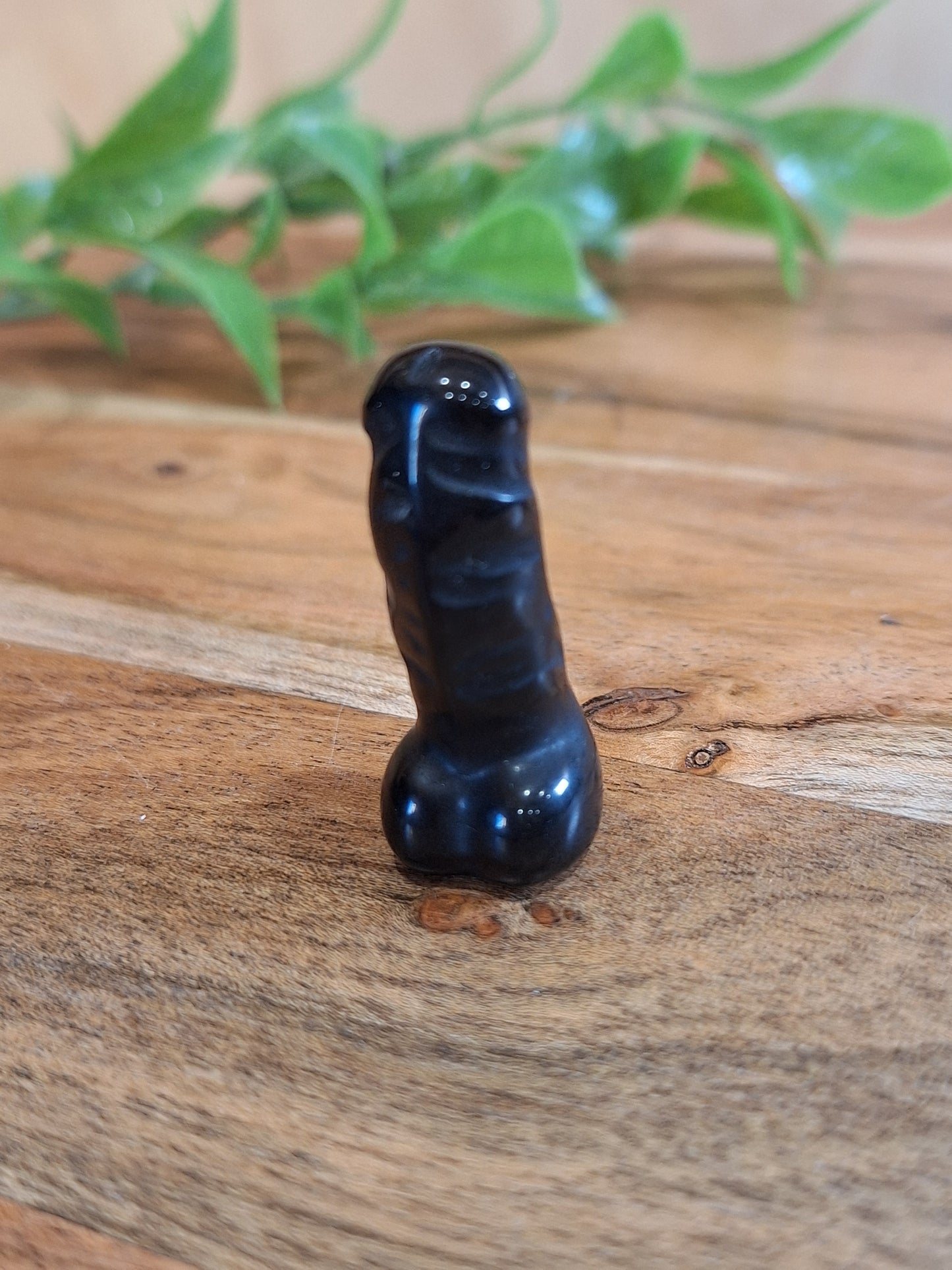 DING DINGS (ADULTS ONLY- MALE PRIVATE PARTS AHEAD)