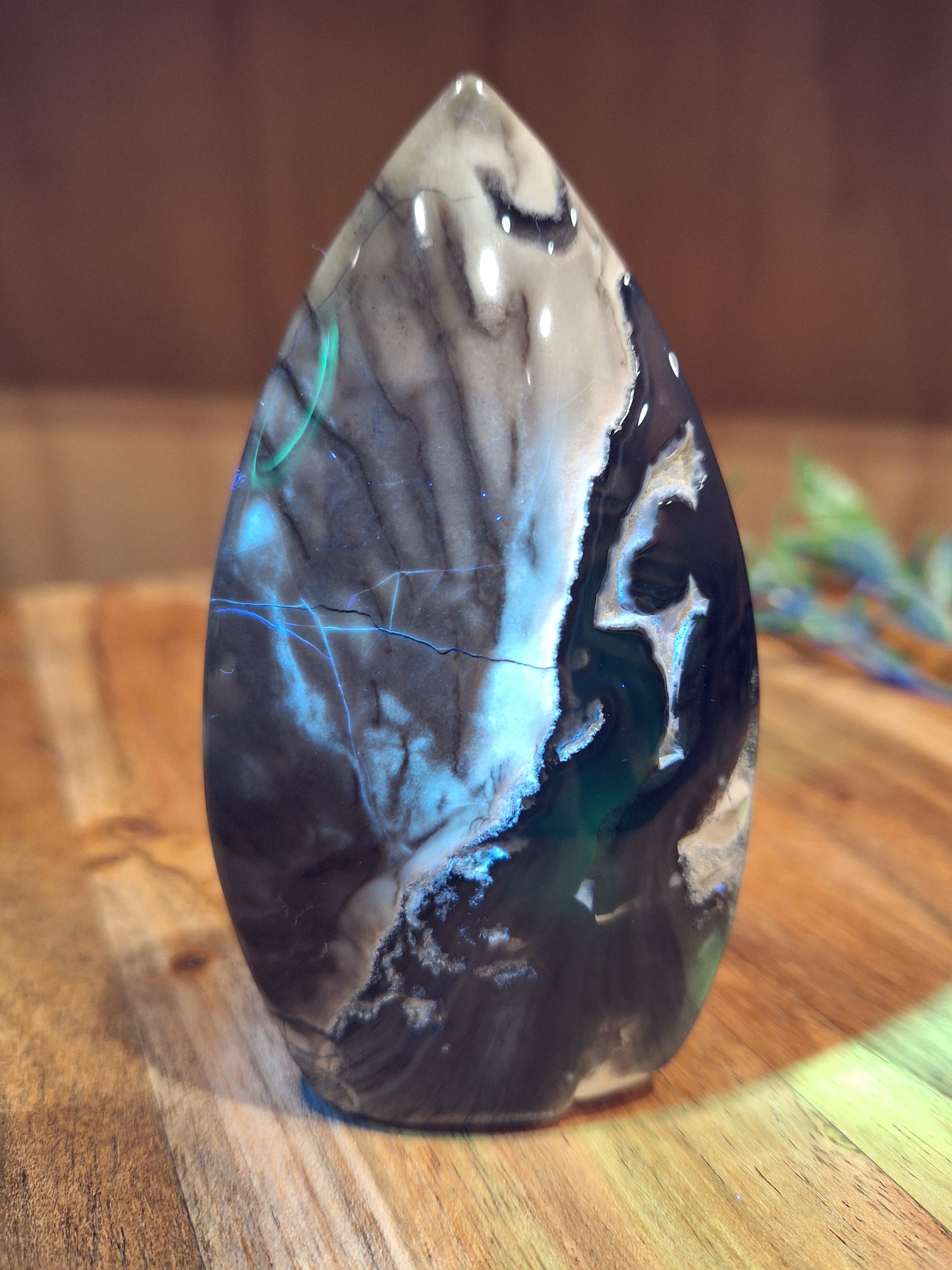 VOLCANO AGATE FREEFORMS