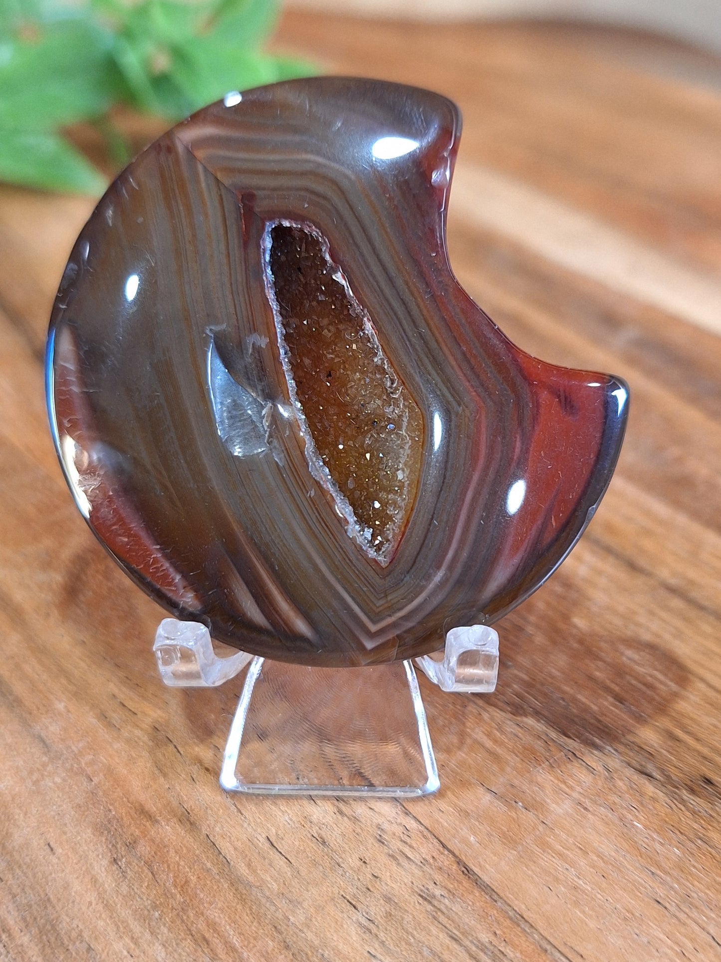 CARNELIAN MOON