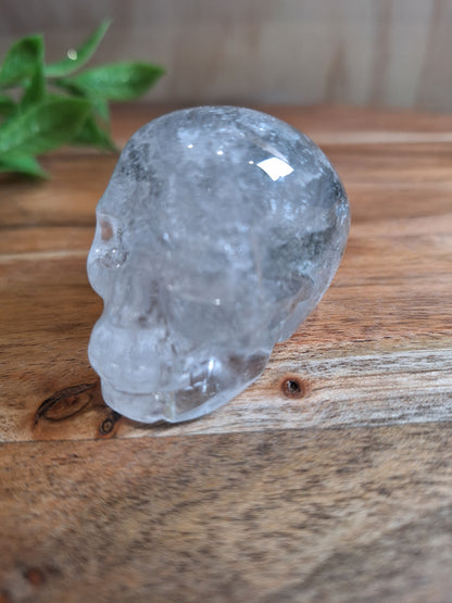 CLEAR QUARTZ SKULL WITH A SMALL GARDEN
