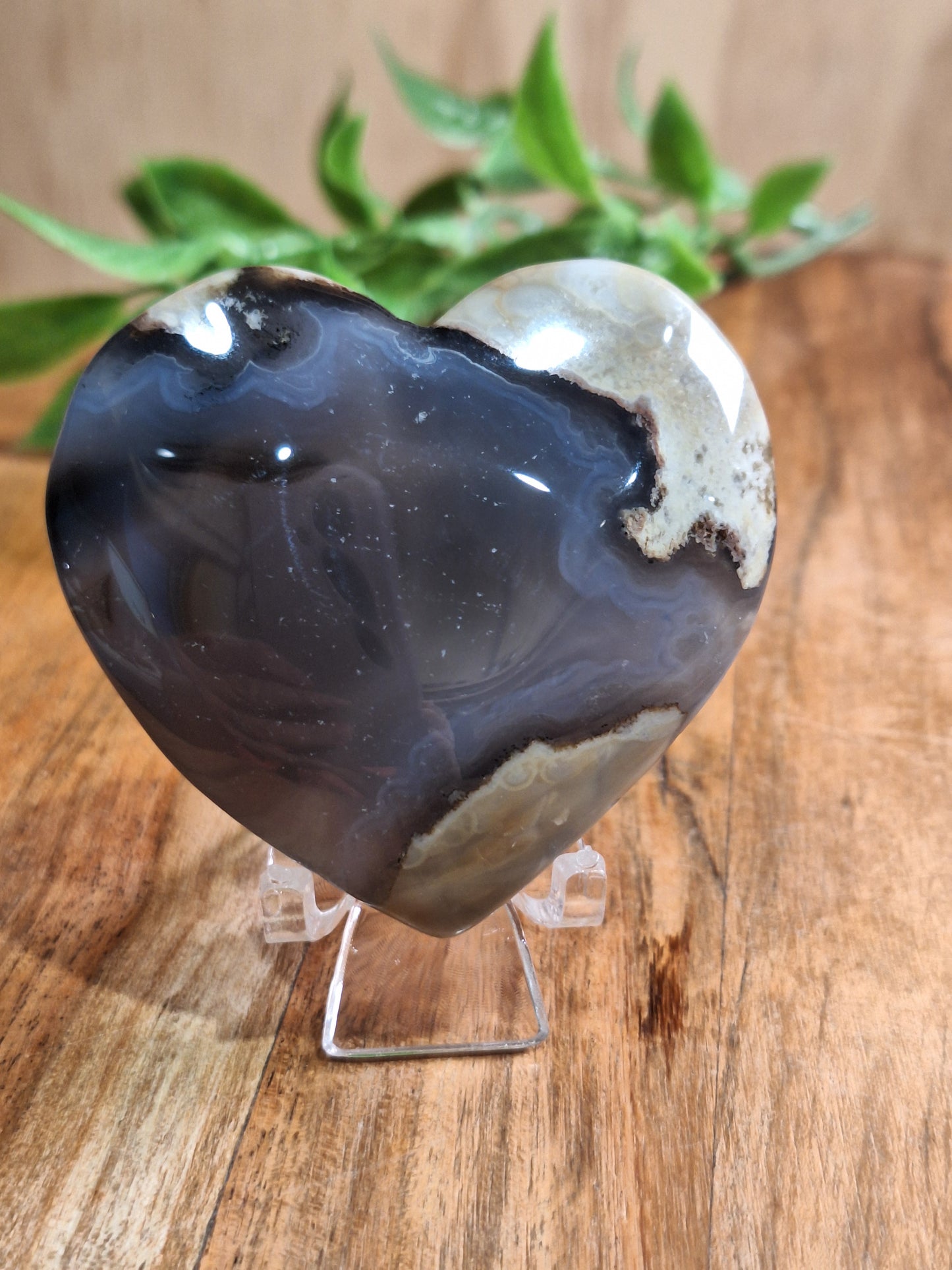 VOLCANO AGATE HEARTS