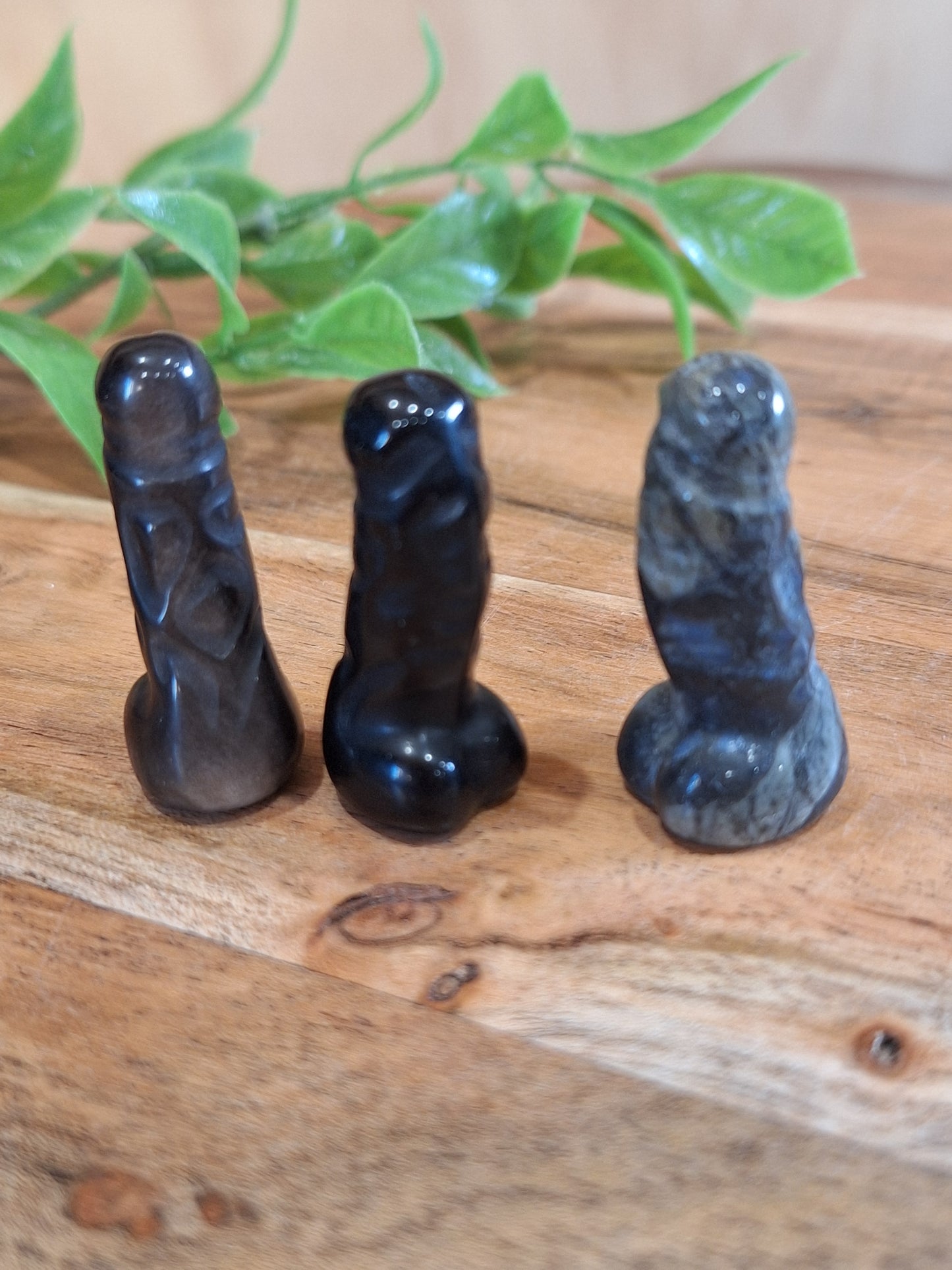DING DINGS (ADULTS ONLY- MALE PRIVATE PARTS AHEAD)