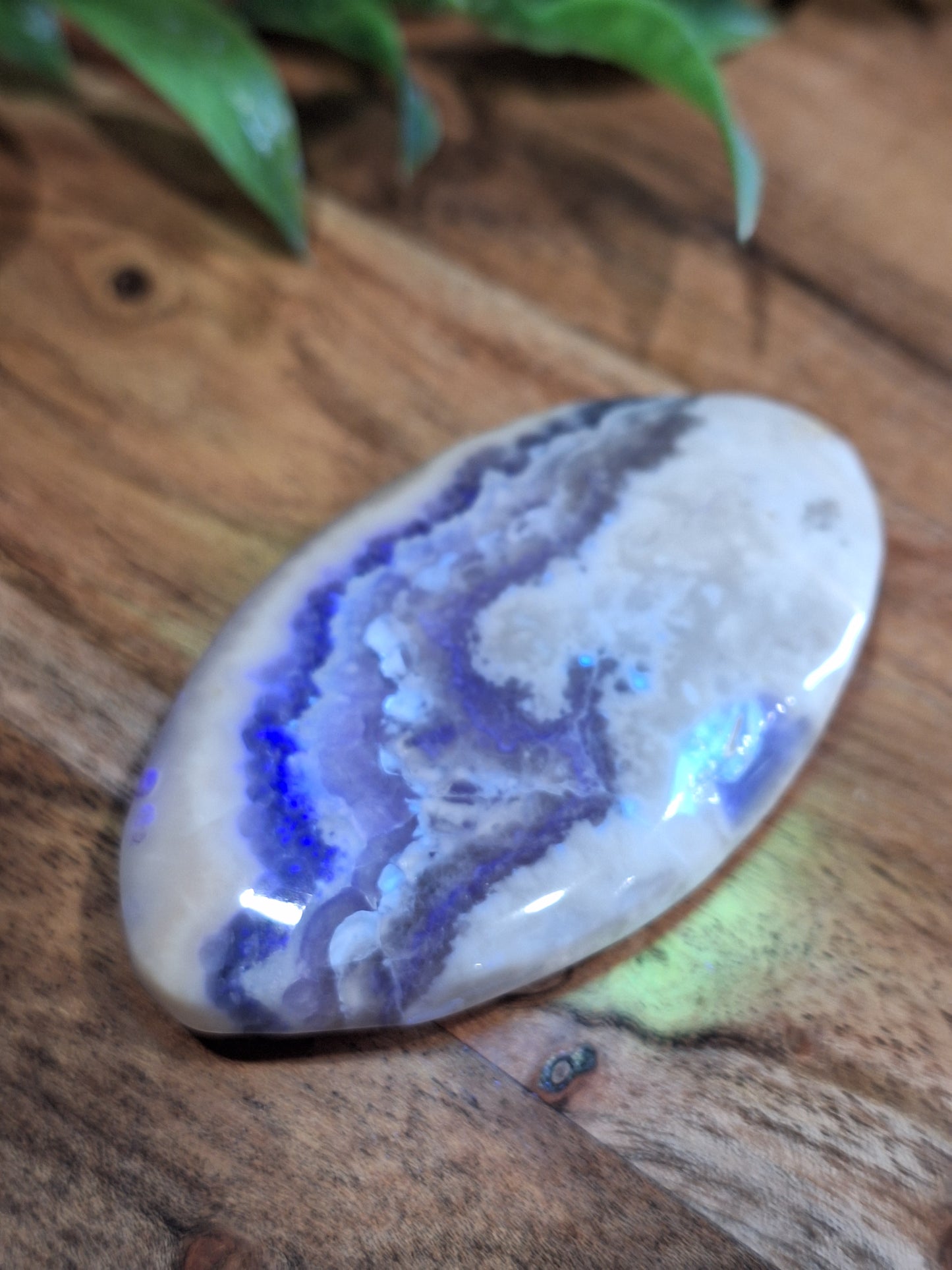 PALM STONES (SMALL)