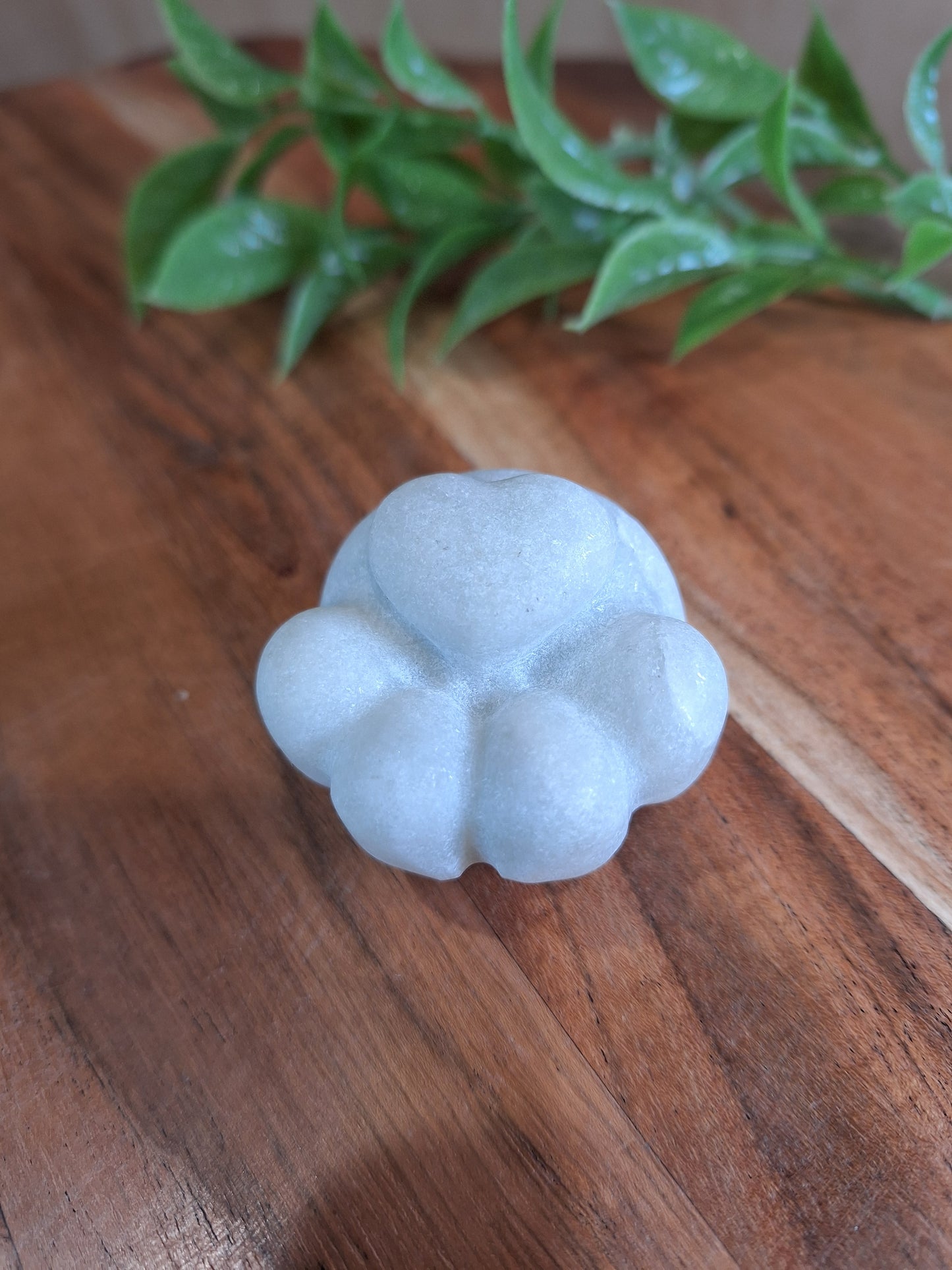 CRYSTAL DOG PAWS (SMALL-MEDIUM-LARGE)