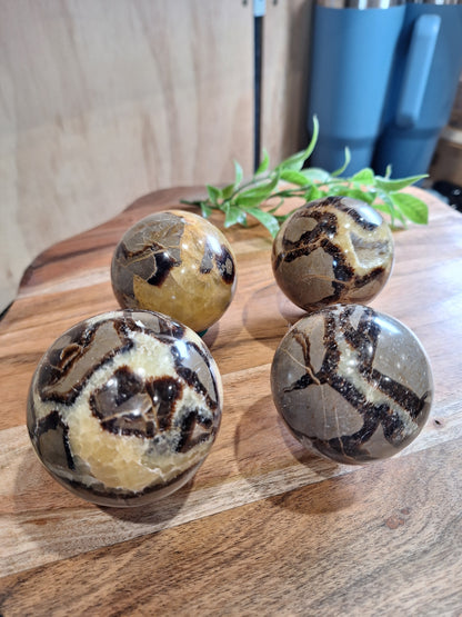 SEPTARIAN SPHERES