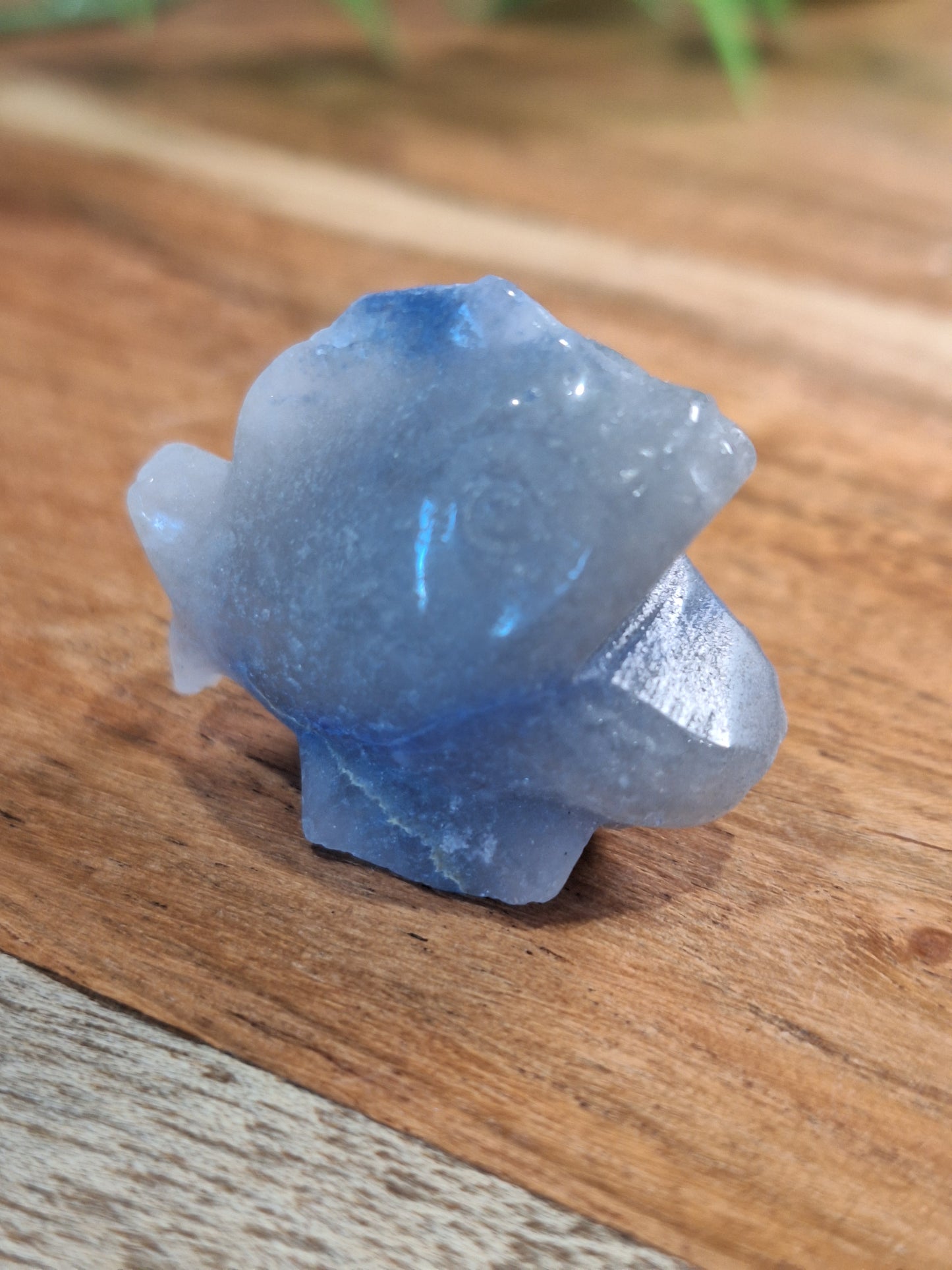 CRYSTAL PIRANHAS