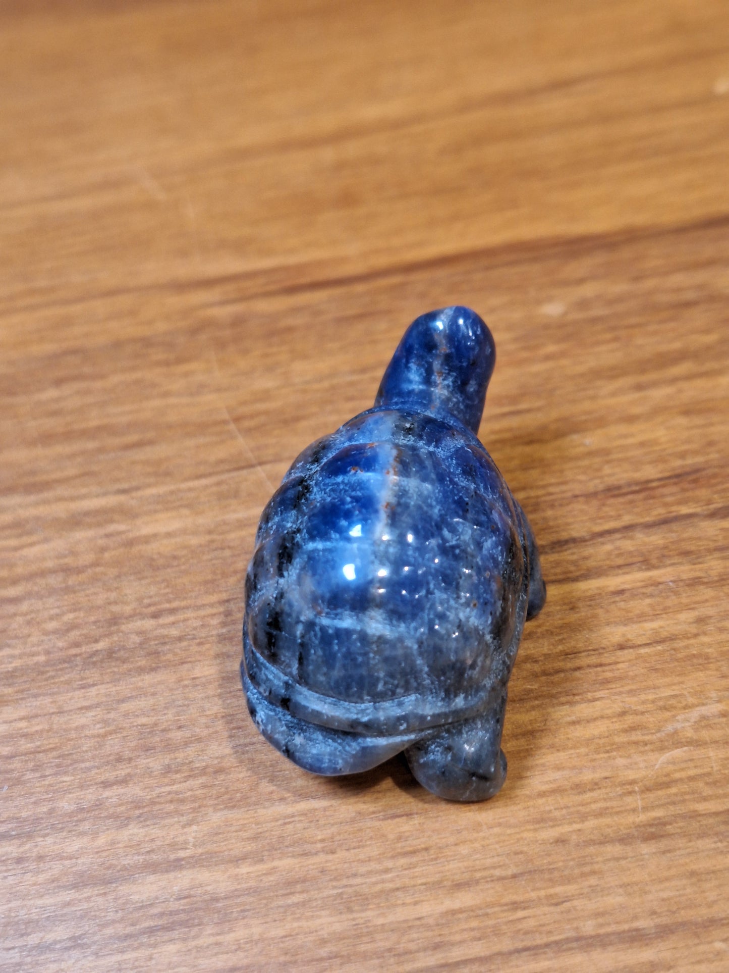 SODALITE TURTLE