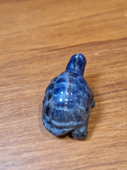 SODALITE TURTLE