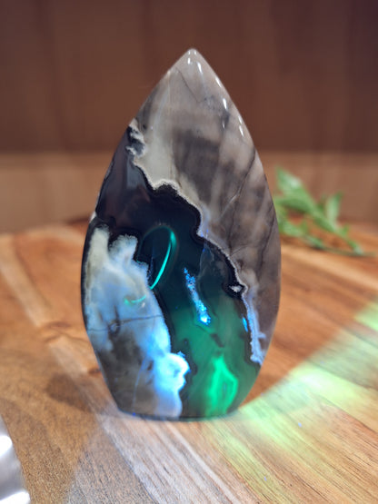 VOLCANO AGATE FREEFORMS