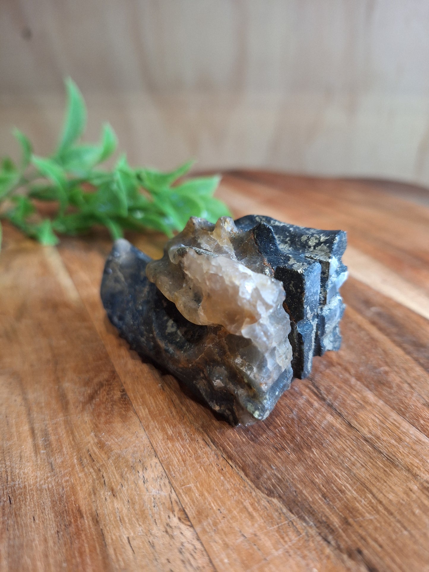 PYRITE DRAGONHEAD