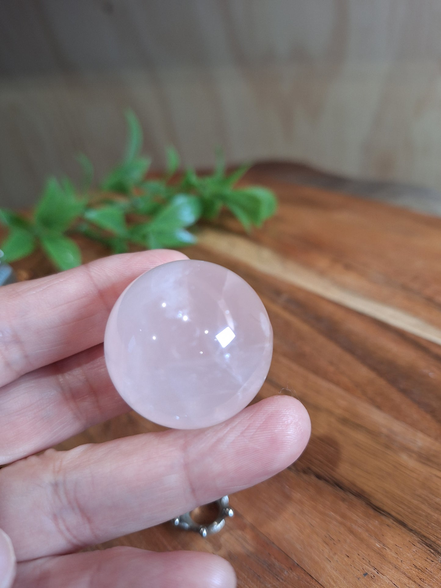 ROSE QUARTZ SPHERES WITH STARS