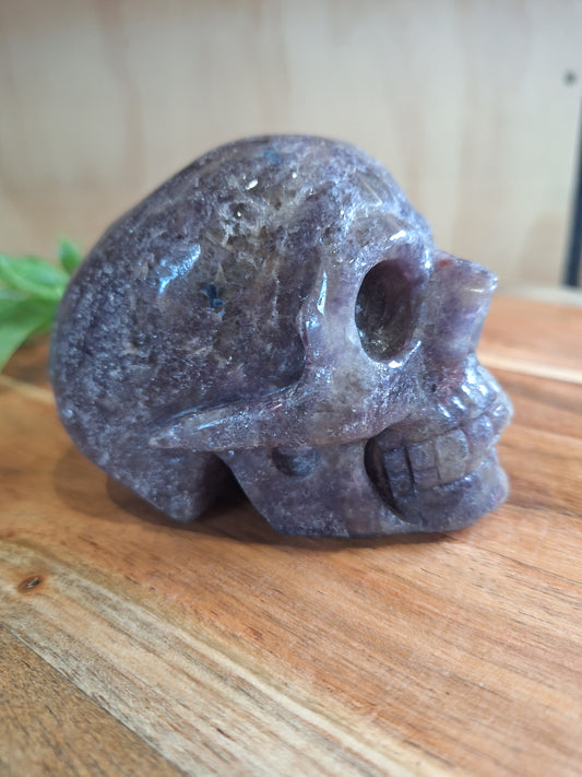 UNICORN SKULL WHOPPING 692grams (LARGE)