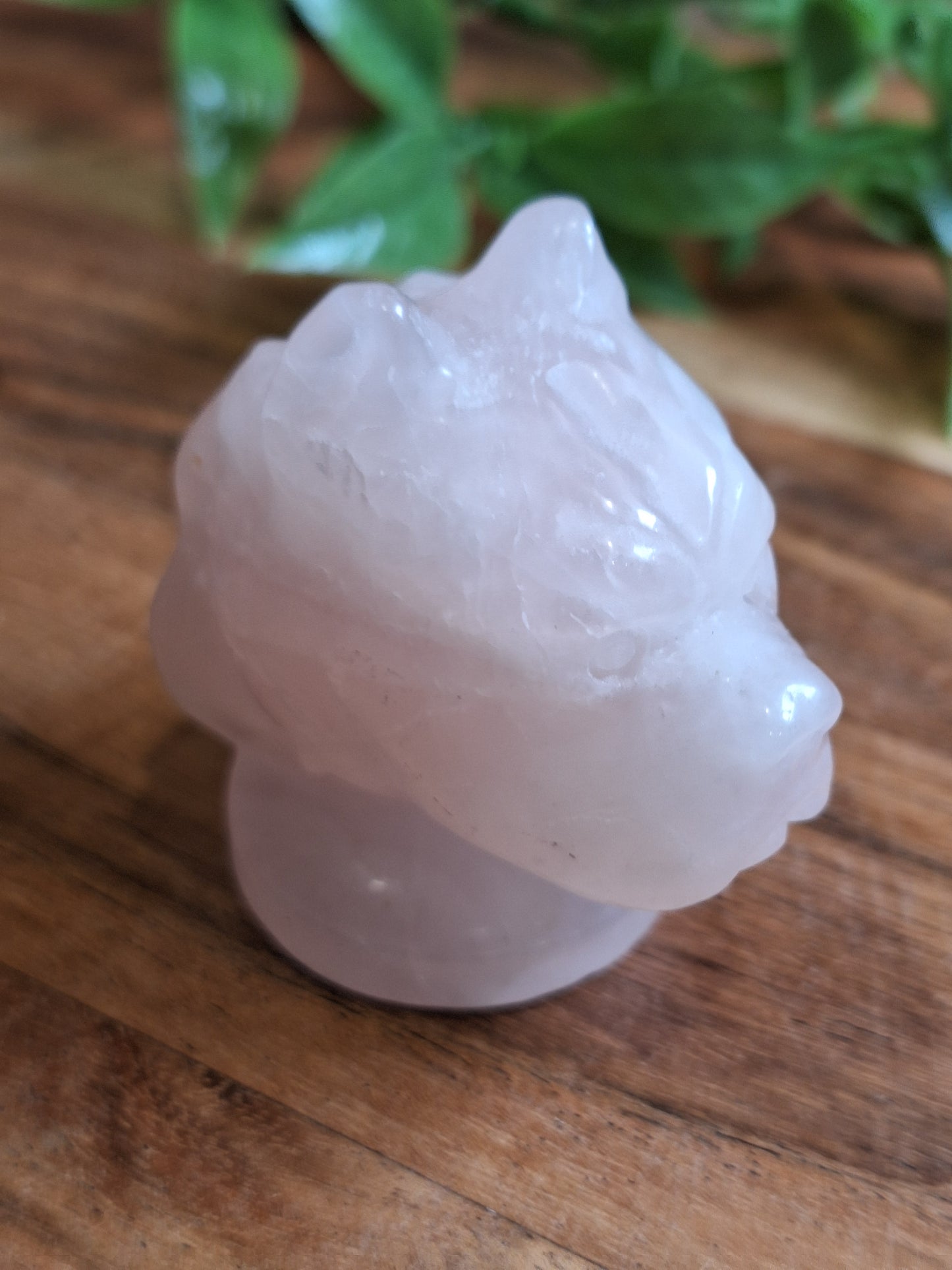 CRYSTAL DOG HEADS