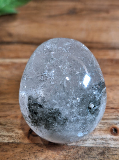 CLEAR QUARTZ SKULL WITH A SMALL GARDEN