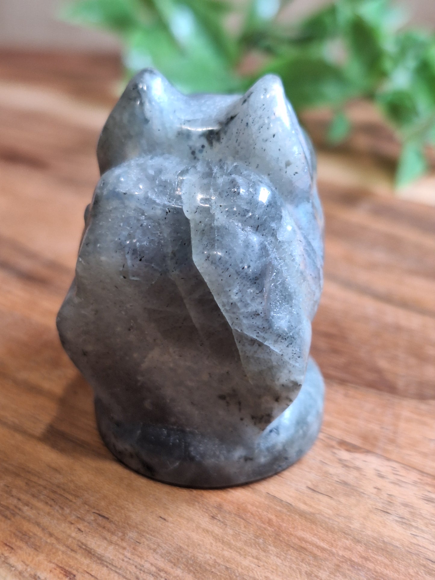 CRYSTAL DOG HEADS
