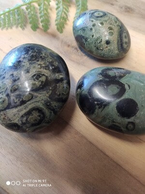 KAMBABA PALMSTONE