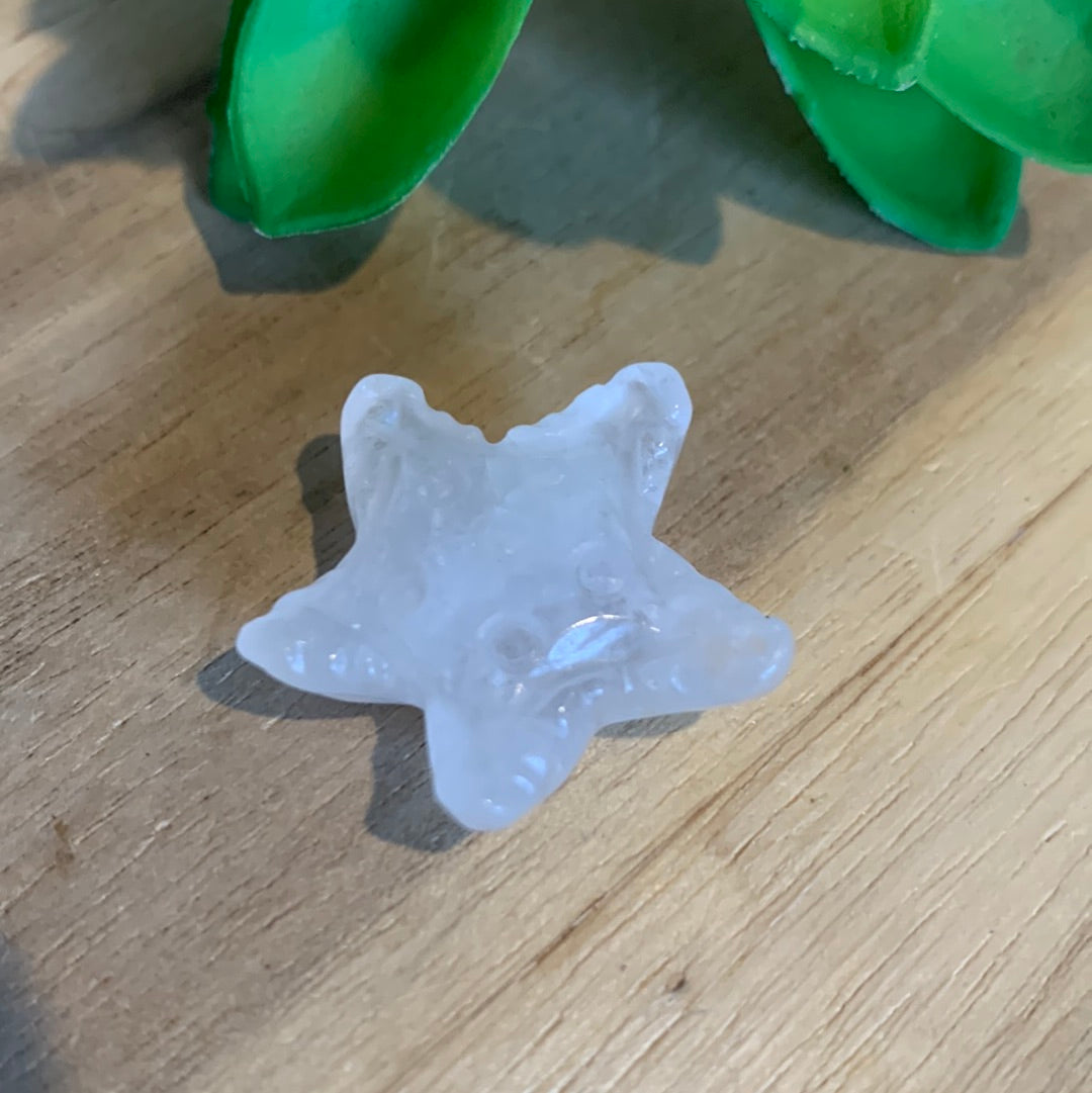 MINI STARFISH