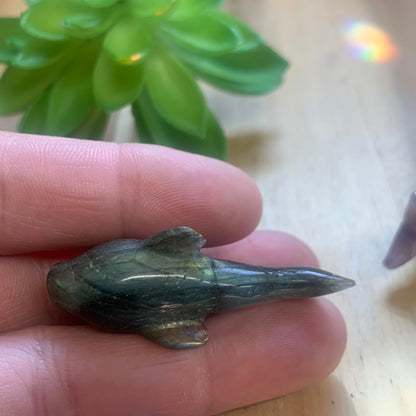 WHALES (SMALL)