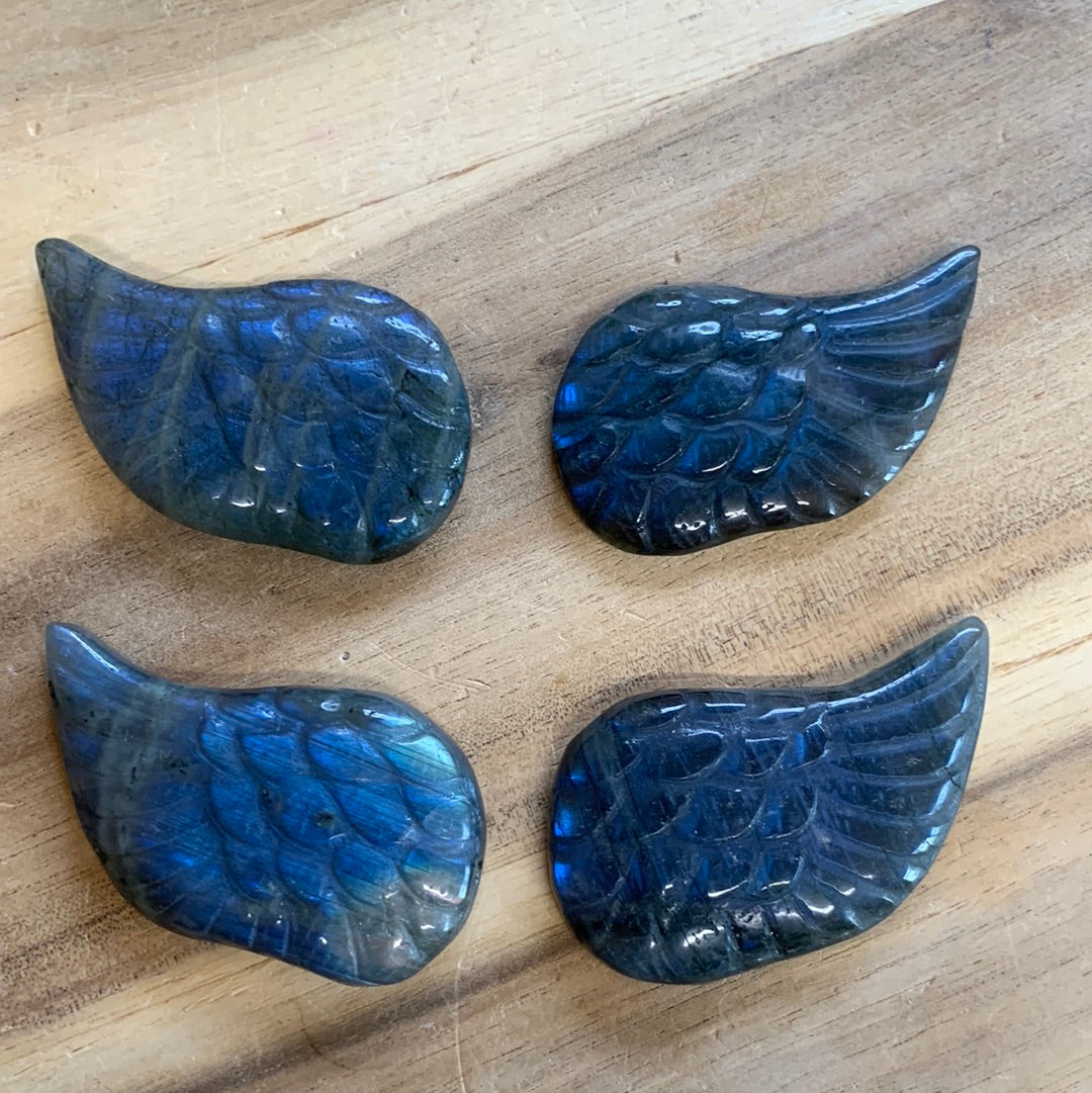 WINGS (SMALL)