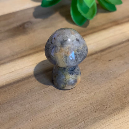 MUSHROOMS (SMALL)