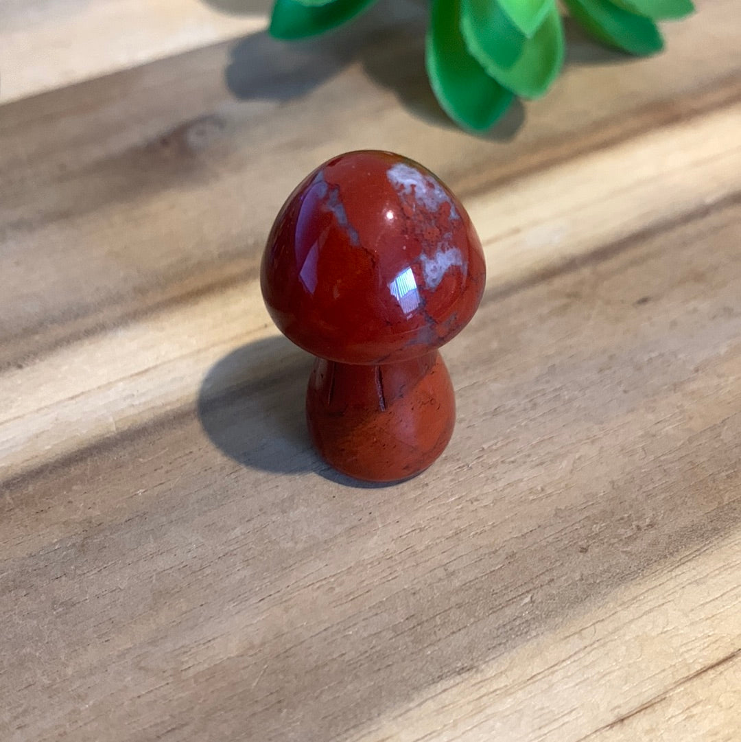 MUSHROOMS (SMALL)