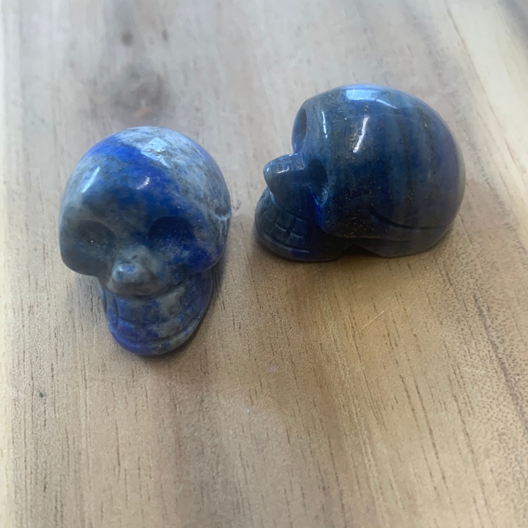 MINI SKULLS