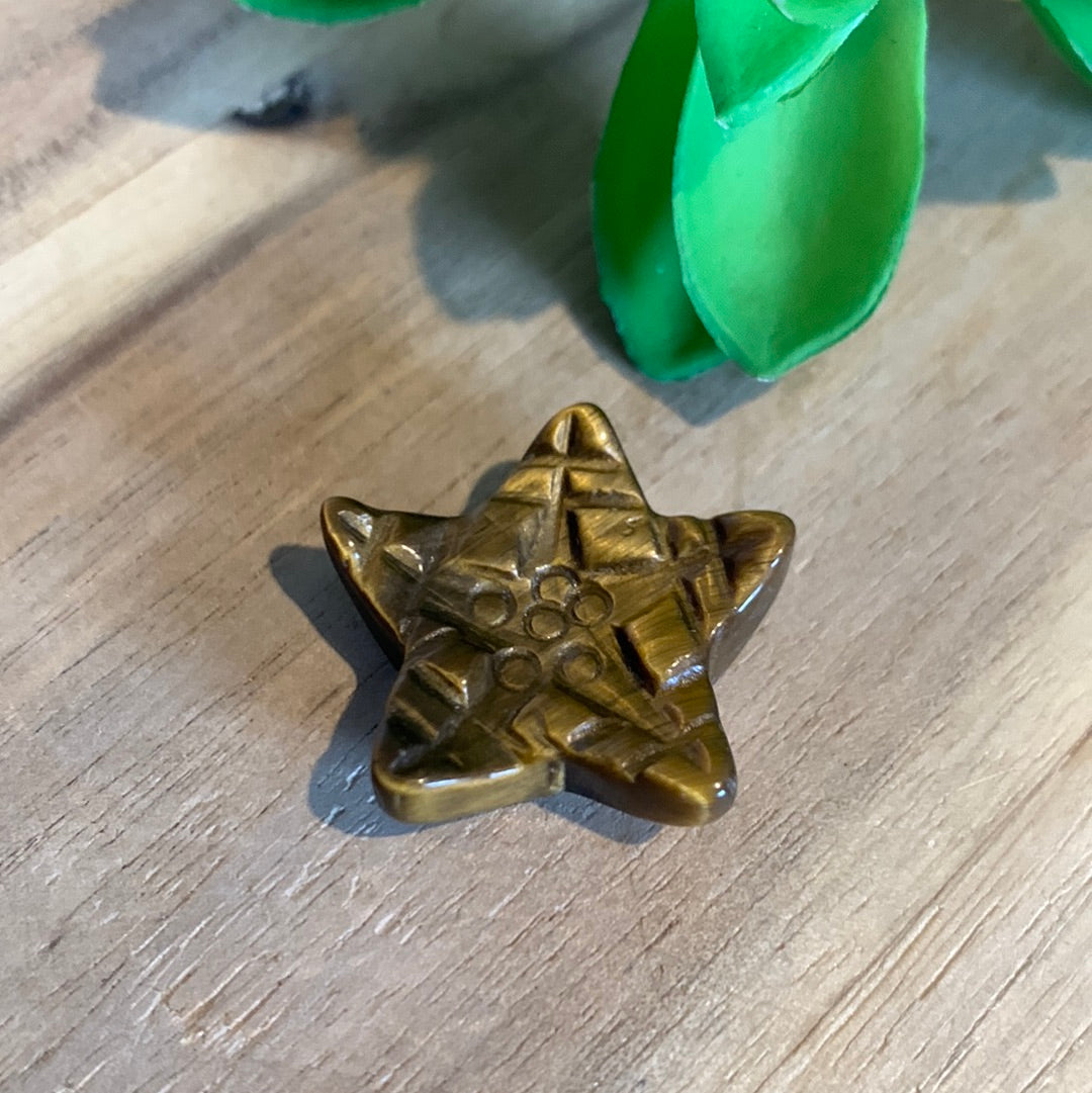 MINI STARFISH