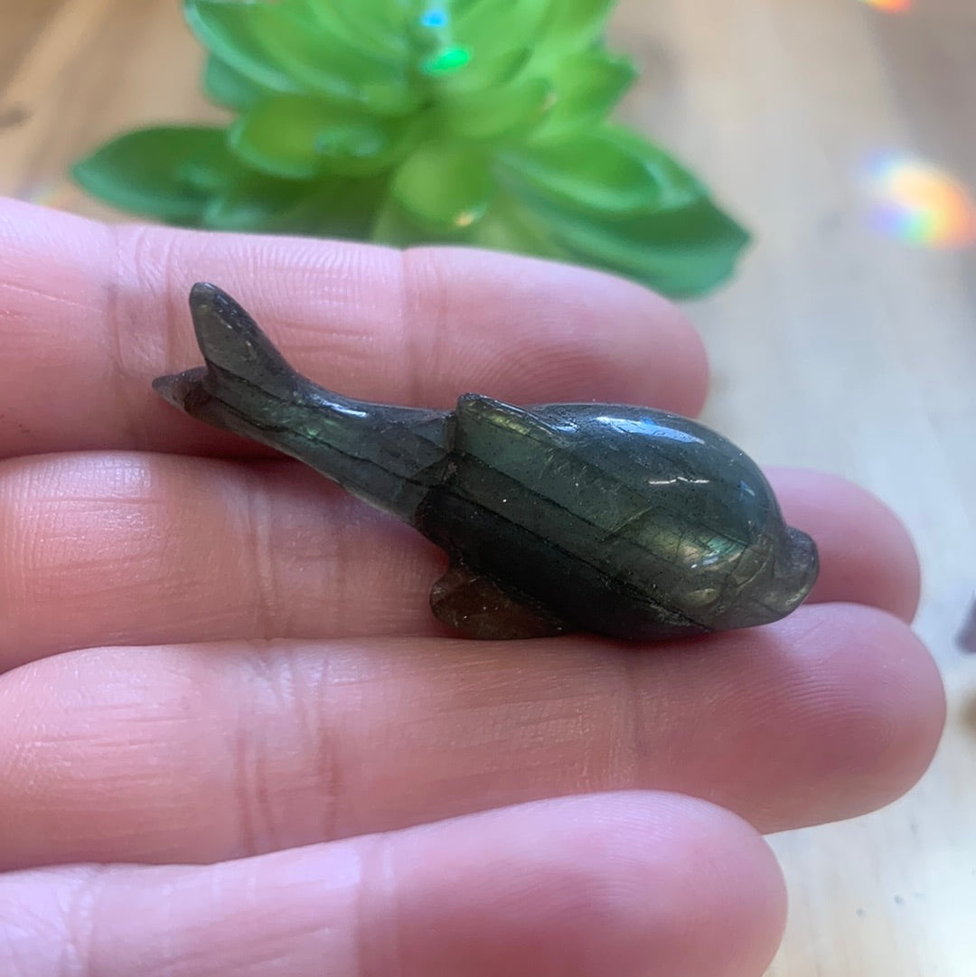 WHALES (SMALL)